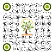 Background pattern

Description automatically generated