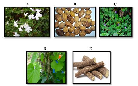 A picture containing diagram

Description automatically generated
