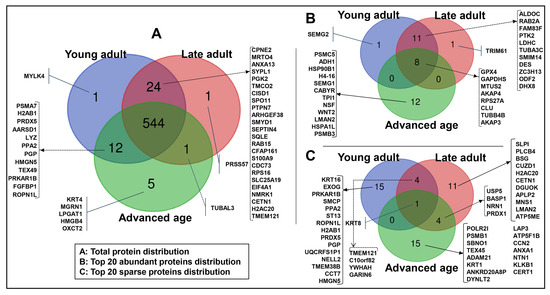 Figure 3 Age-Dependent Changes in Sperm Enzyme Activity 