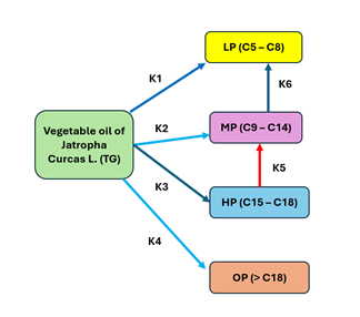 A screenshot of a computer

Description automatically generated