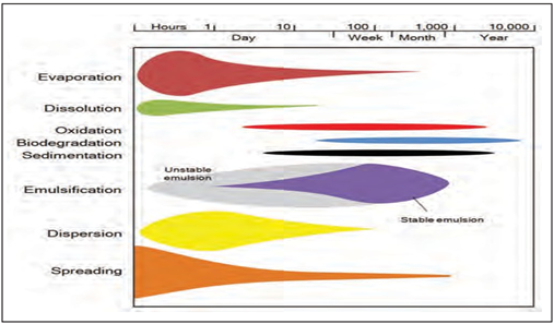 A chart of different colored shapes

AI-generated content may be incorrect.