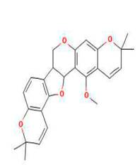 A drawing of a molecule

Description automatically generated