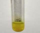 A close up of a test tube

Description automatically generated