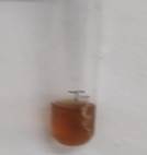 A brown liquid in a glass container

Description automatically generated