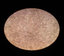 A close-up of a white circle

Description automatically generated