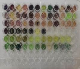 A close-up of several small plastic containers

Description automatically generated