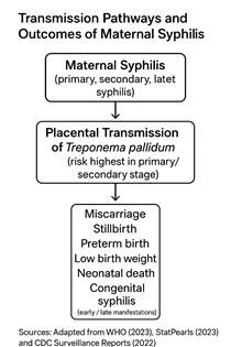Figure 1 Transmission Pathways and Outcomes of Maternal Syphilis
