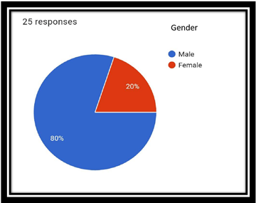 Pie – Chart Gender