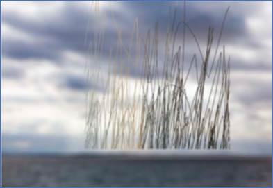 A screenshot of a computer

Description automatically generated