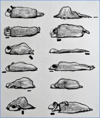 A screenshot of a computer

Description automatically generated