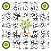 Background pattern

Description automatically generated