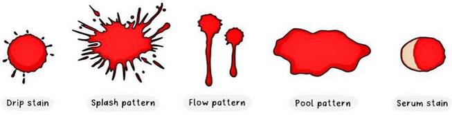 A group of red splatters
Description automatically generated