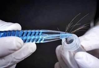 A person holding a blue plastic tube with hair sticking out of it
Description automatically generated
