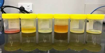 A row of plastic containers with yellow lids
Description automatically generated