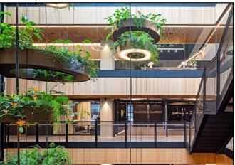 A building with plants from the ceiling

AI-generated content may be incorrect.