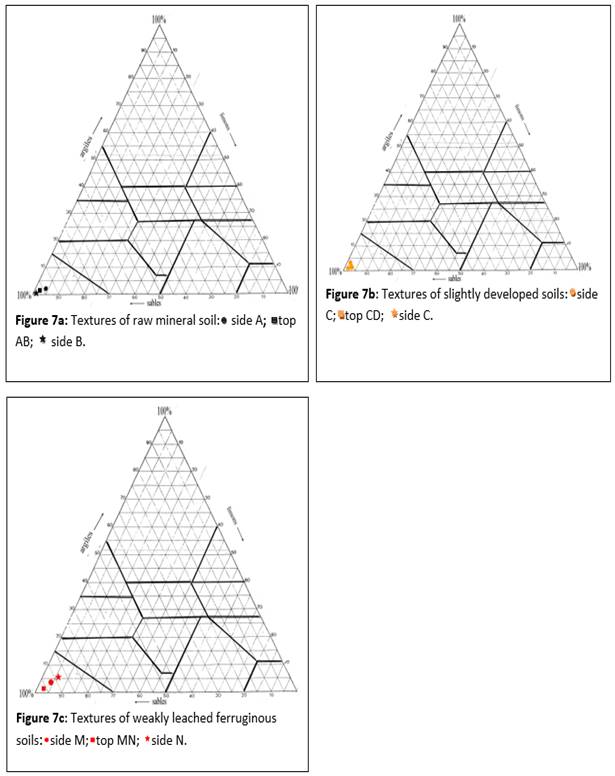 A picture containing shape

Description automatically generated