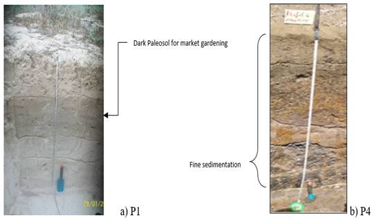 Diagram

Description automatically generated with medium confidence