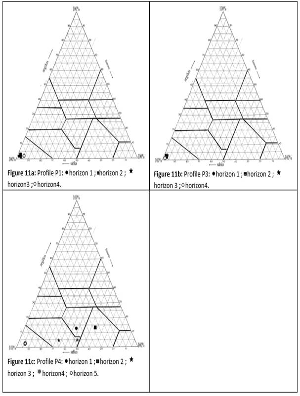 Shape

Description automatically generated