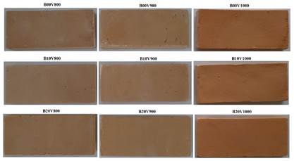 A close-up of different colors of clay

Description automatically generated