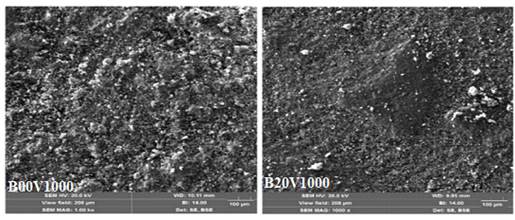 A close-up of a black and white image

Description automatically generated