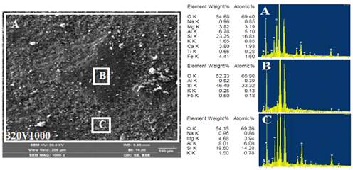 A close-up of a graph

Description automatically generated