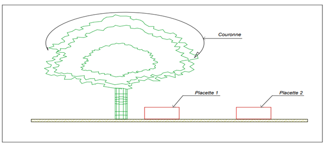 Diagram

Description automatically generated