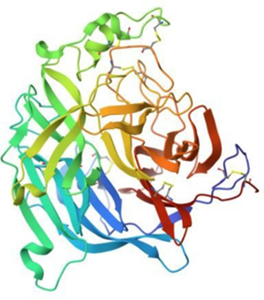 Nepha Virus Glycoprotein with Human Control Surface Receptor Ephrinb2