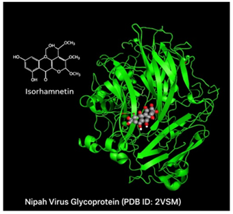 Complex Structure After Molecular Docking