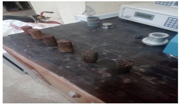 A picture containing oven

Description automatically generated