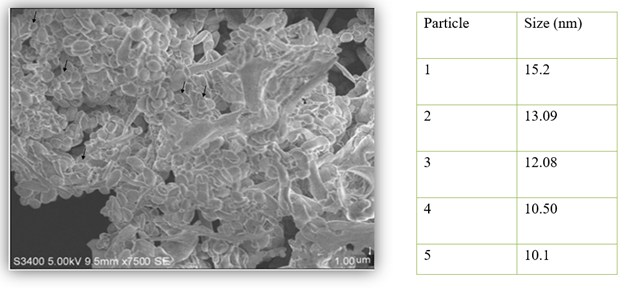 A close-up of a microscope

Description automatically generated