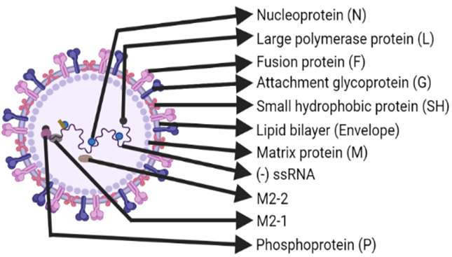 Diagram

Description automatically generated