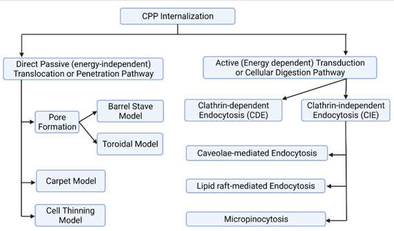 Diagram

Description automatically generated