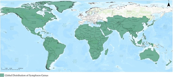 A map of the world
AI-generated content may be incorrect.