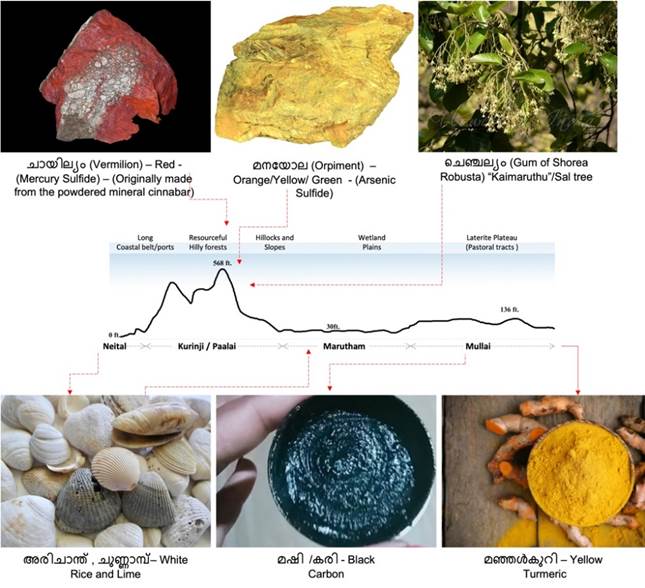 A collage of different types of minerals

Description automatically generated with medium confidence