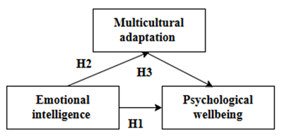 Figure 1 Conceptual Frame Work