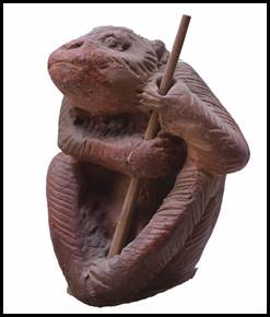 Climbing Monkey.jpg