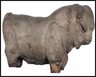 The Bull.jpg