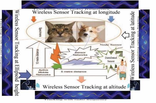 A diagram of a cat and dog

Description automatically generated with low confidence