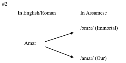 A diagram of different languages
AI-generated content may be incorrect.