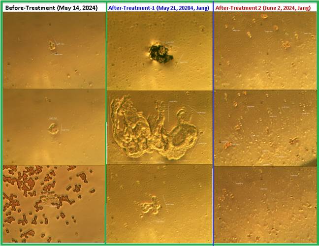 A collage of images of a cell

Description automatically generated