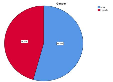 A blue and red pie chart

Description automatically generated