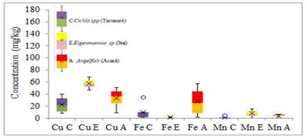 Chart

Description automatically generated