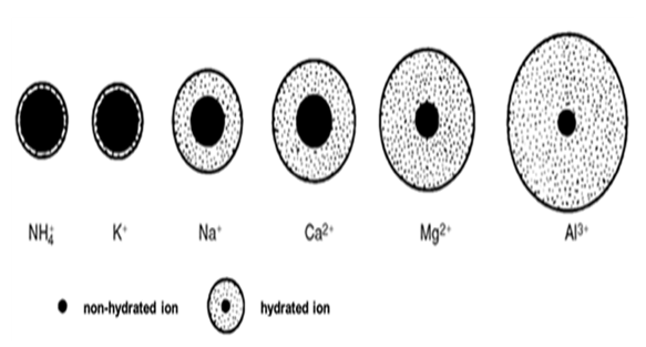 A picture containing wheel

Description automatically generated