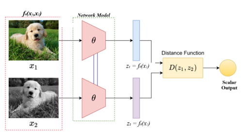 A diagram of a network model

AI-generated content may be incorrect.