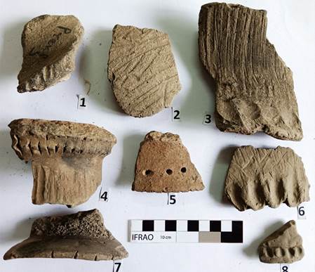 A group of clay pieces

Description automatically generated