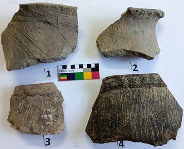 A group of pieces of ancient artifacts

Description automatically generated with medium confidence