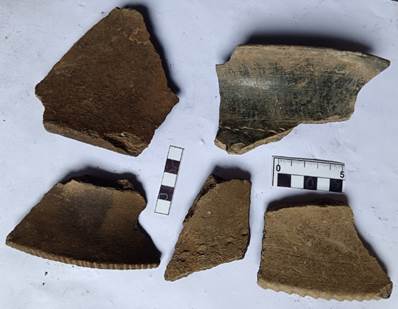 A group of pieces of clay

Description automatically generated