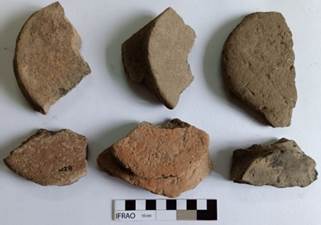 Several different types of rocks

Description automatically generated with medium confidence