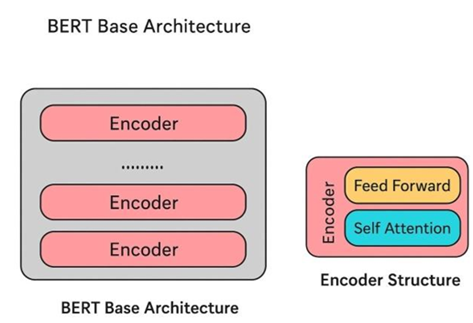 Bert Base Model