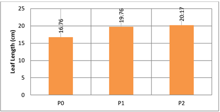 A graph with numbers and a bar

AI-generated content may be incorrect.